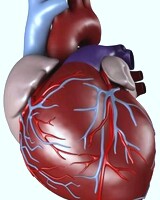 دکتر اسماعیل آقابابایی